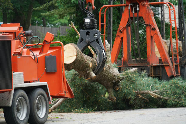  , USA Tree Care Services Pros